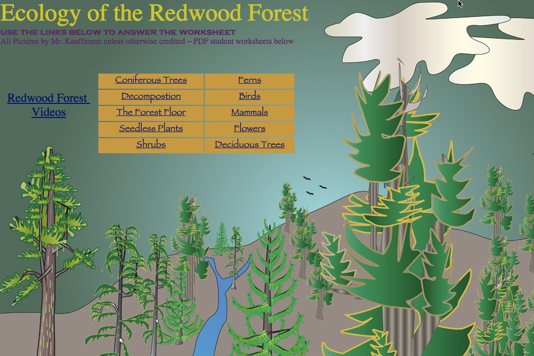Карта slasher redwood